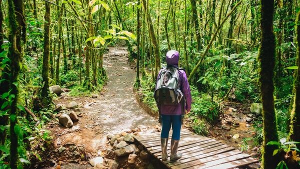 Find out the best time for whale watching, surfing, and dreamy beach breaks with this definitive guide to Costa Rica’s weather