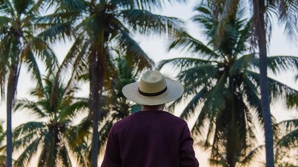 From wildlife-filled national parks to flowing lava and lakes, here’s our guide to two Central American gems